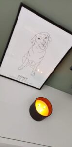 Retrato de mascota con frase y fecha photo review