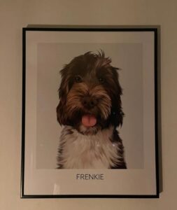Retrato de mascota con frase y fecha photo review