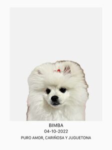 Retrato de mascota con frase y fecha photo review