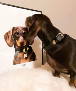 Retrato de mascota con frase y fecha photo review